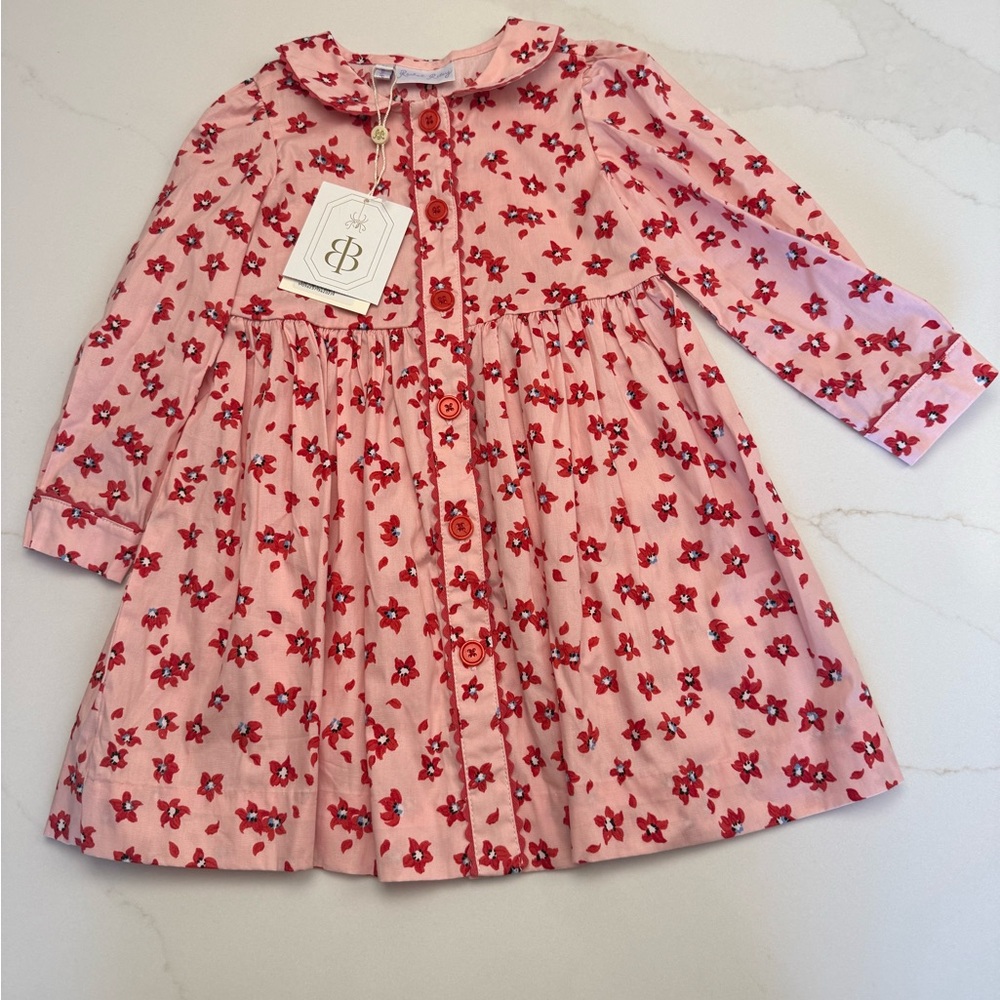 NWT Rachel Riley Pink Dress with Red Floral Accents 3T